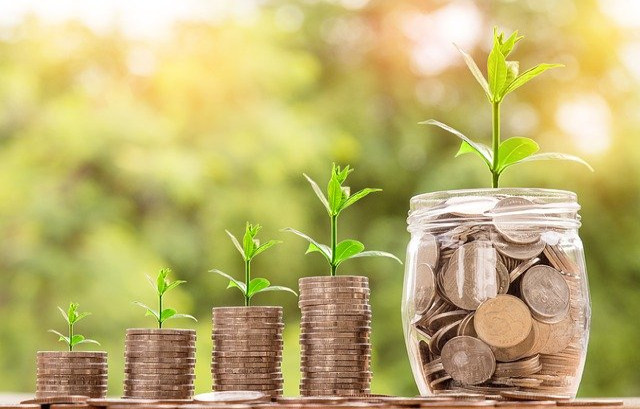 Fixed Deposits